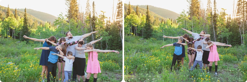 summer session, family session, Wasatch mountains, meadow field, flowers, wildflowers, Big Cottonwood Canyon