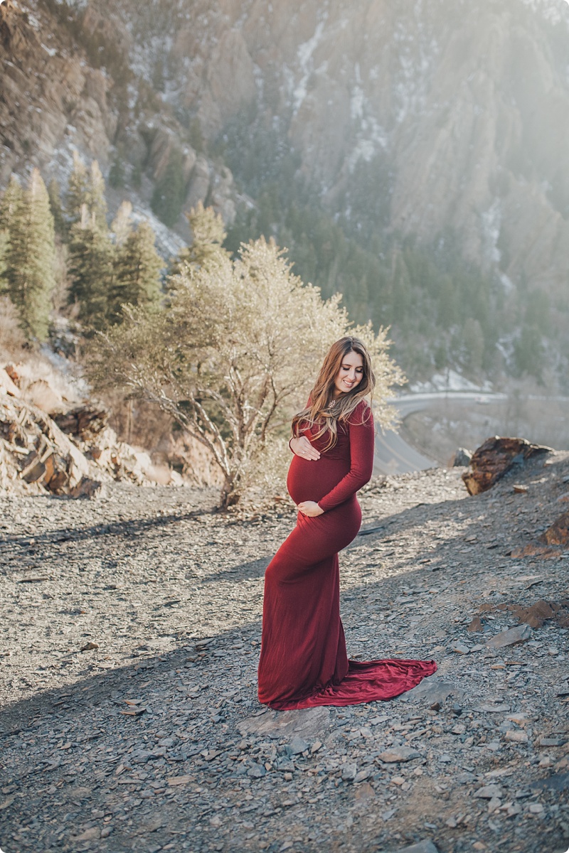 maternity,maternity gowns,maternity photographer,