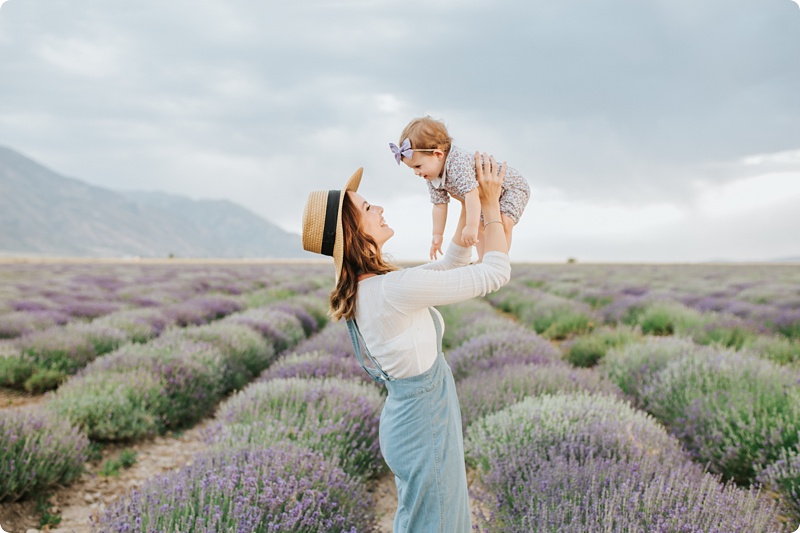 Lavender Fields,family session,summer session,