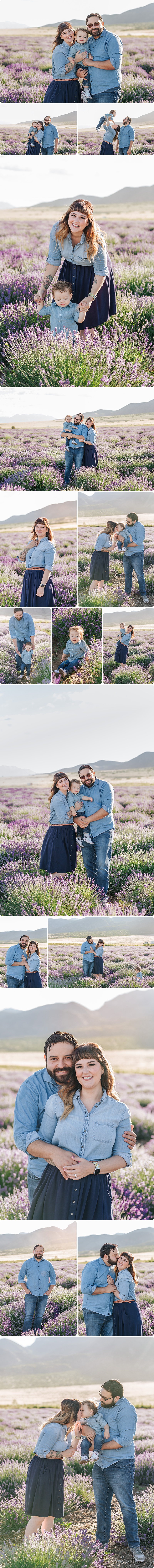 Lavender Fields – Rodriguez Family – {Beka Price Photography | Salt Lake City, Utah Newborn Photographer }