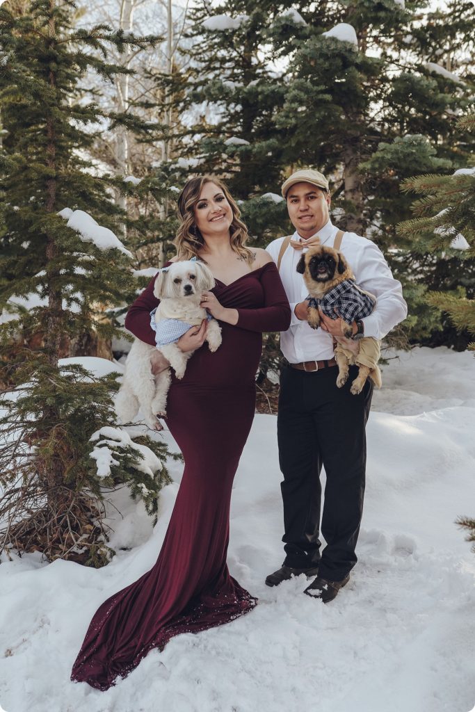 Beka Price Photography captures family in the snow with dogs