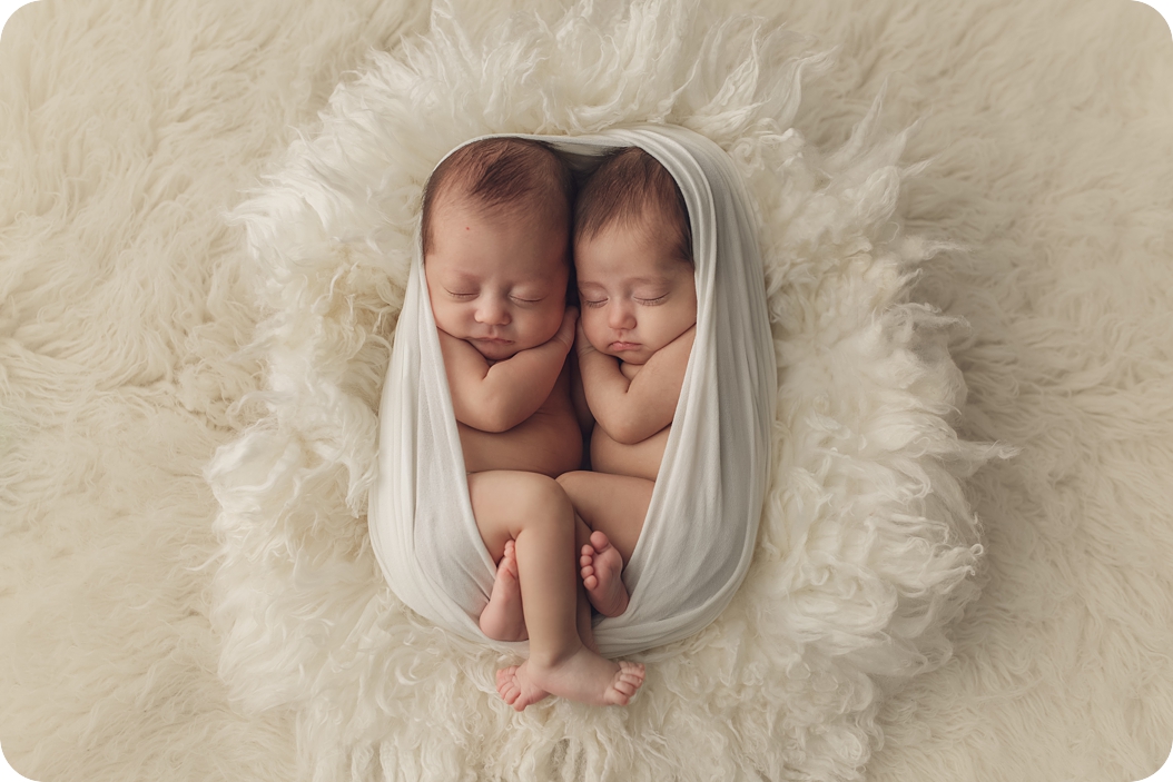 Twin Newborn Portraits in Utah Studio {Beka Price Photography | Holladay Newborn Photographer}