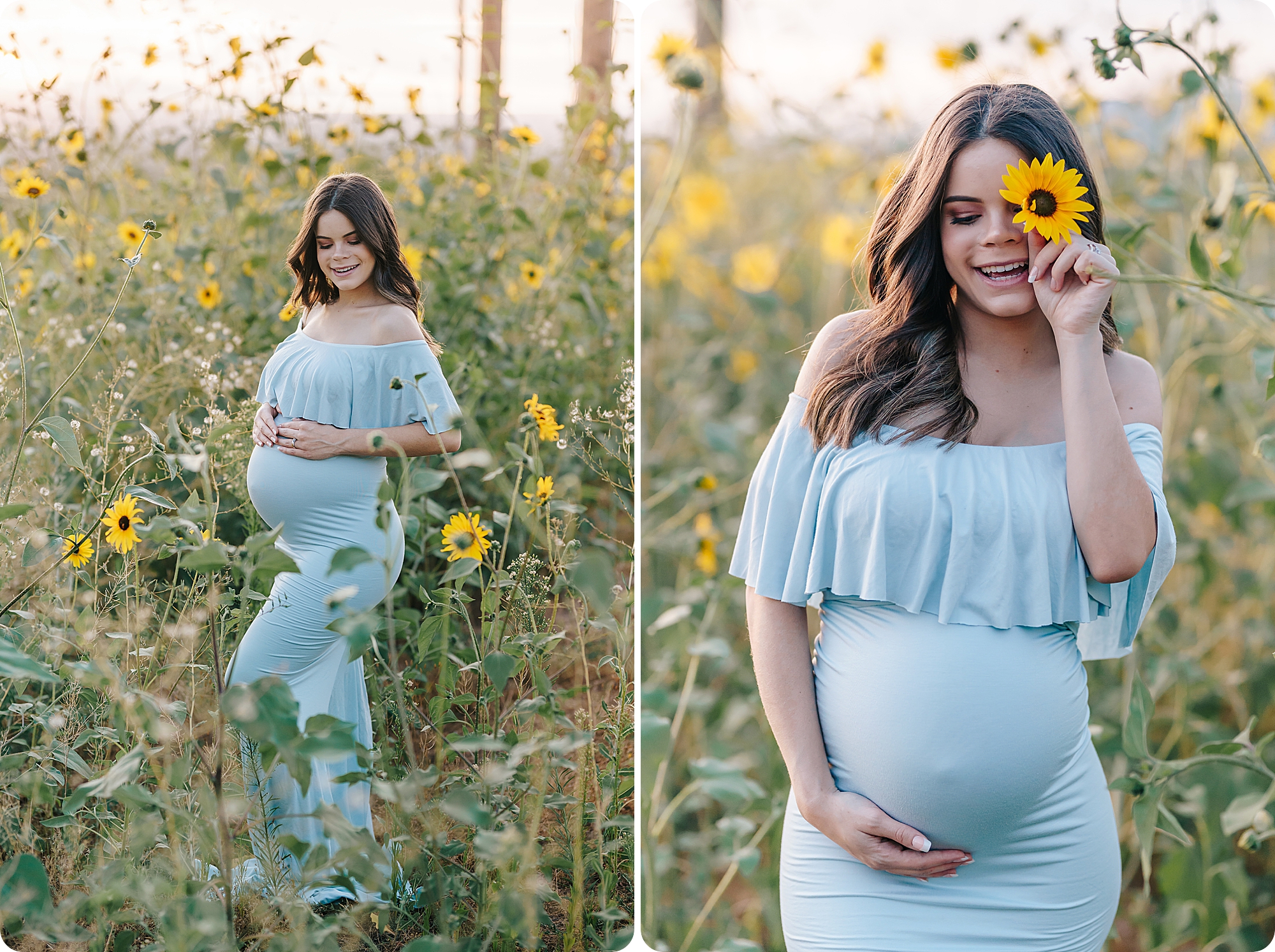 Utah Fall Maternity Portraits with mom in sunflower field 