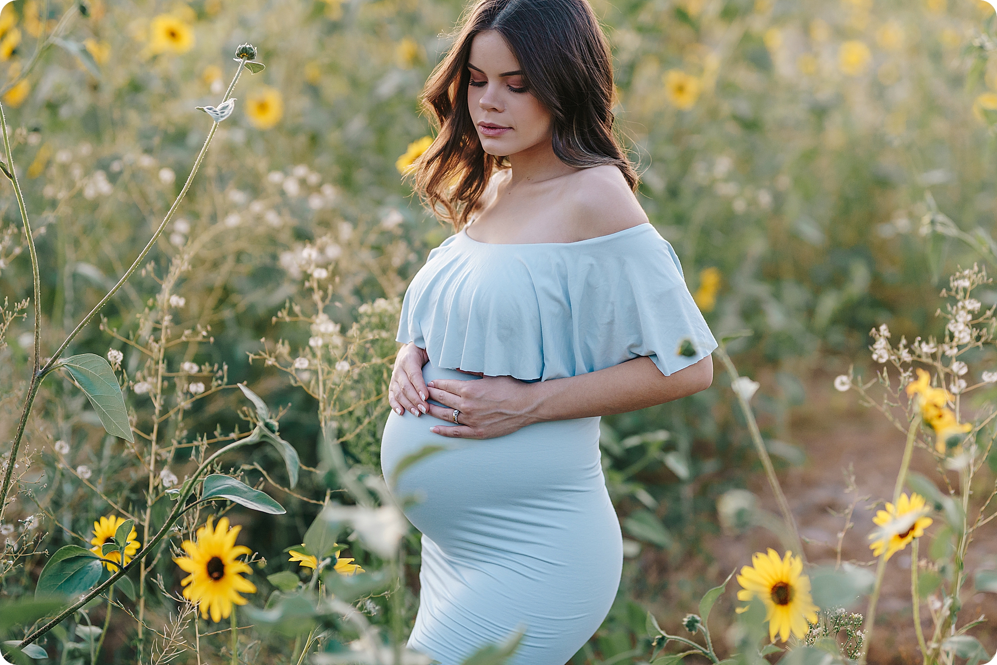 Fall Maternity Portraits in sunflower field with Beka Price Photography