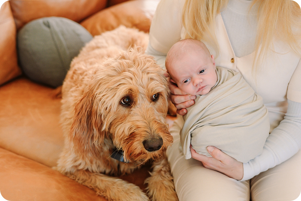 dog sits next to mom holding baby girl during Lifestyle Newborn Session in Park City