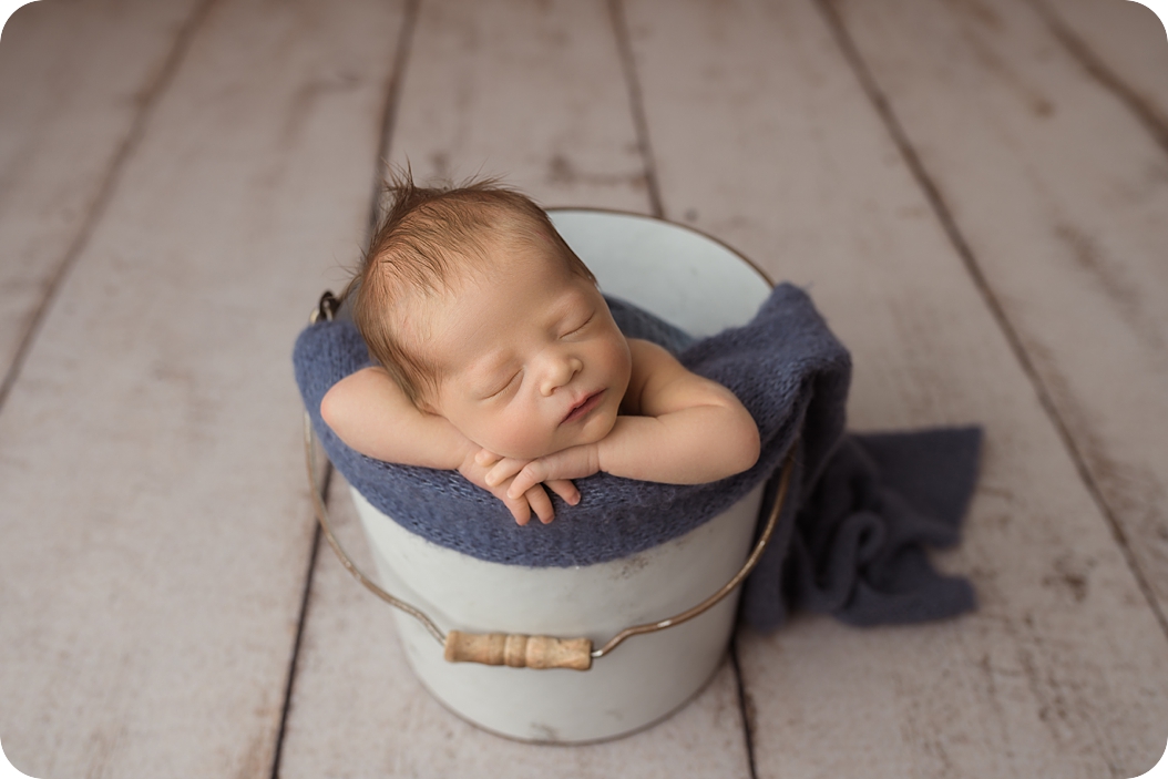baby boy sleeps in pail during newborn portraits with dogs 