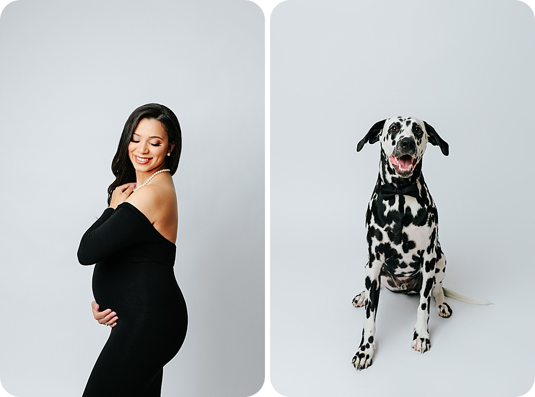 woman and dog pose in studio during Classic Maternity Session with a Dog